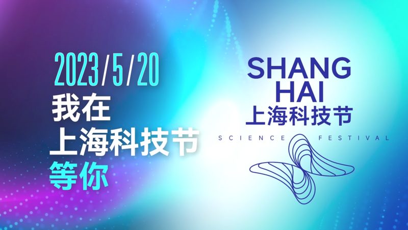 科技公司批发价格：揭秘背后的逻辑与考量**